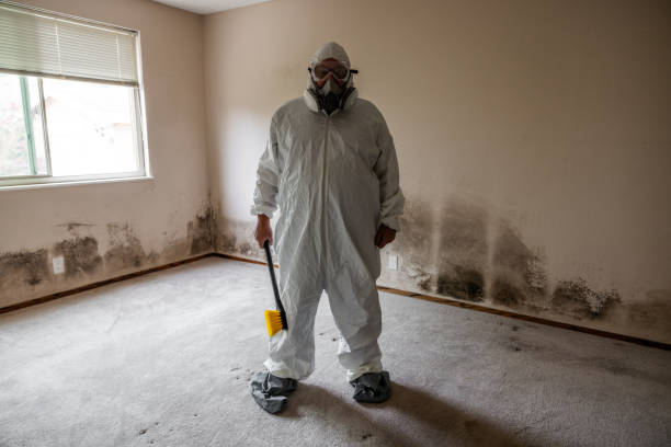 Best Mold Cleaning Services  in Ross, OH